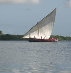 Pole Dhow Mini 0037