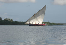 Pole Dhow Mini 0037