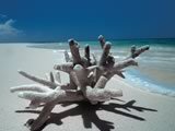 Smallpic Wellness Beach Smallpic Wellness Beach