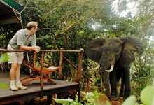 Selous Impalatentexterior4