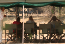 Mdonya Lounge Zebra