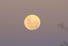 Za Mpl Mull Moon Over Mpala Safari Lodge